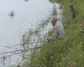 河畔网友爆料视频,一场令人震惊的事件现场  第3张